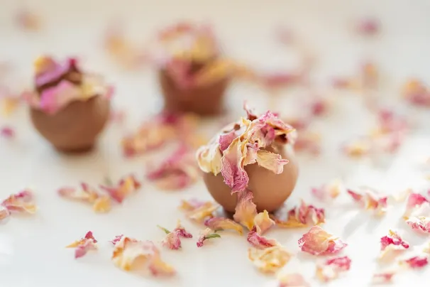 Kasyno Lotus Asia Aplikacja Android/iOS